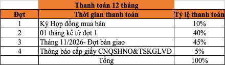 chinh-sach-ban-hang-izumi-city